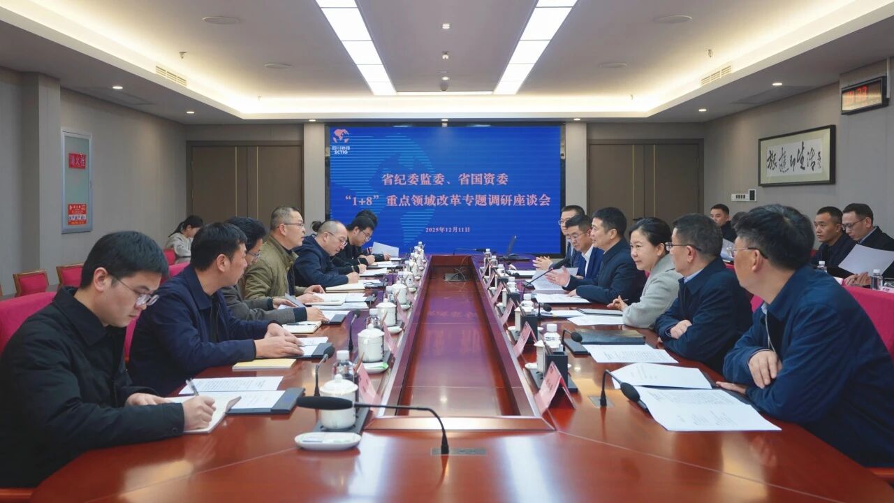 省纪委监委、省国资委一行带队调研省尊龙凯时集团